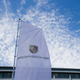 Image for article titled A Massive Thank You for Coming to Our Le Mans Party!